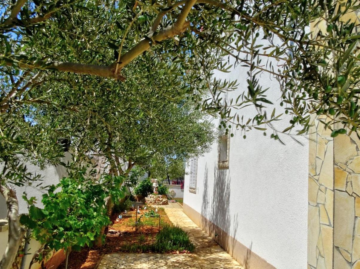 Apartments Zoka Vir Exterior photo